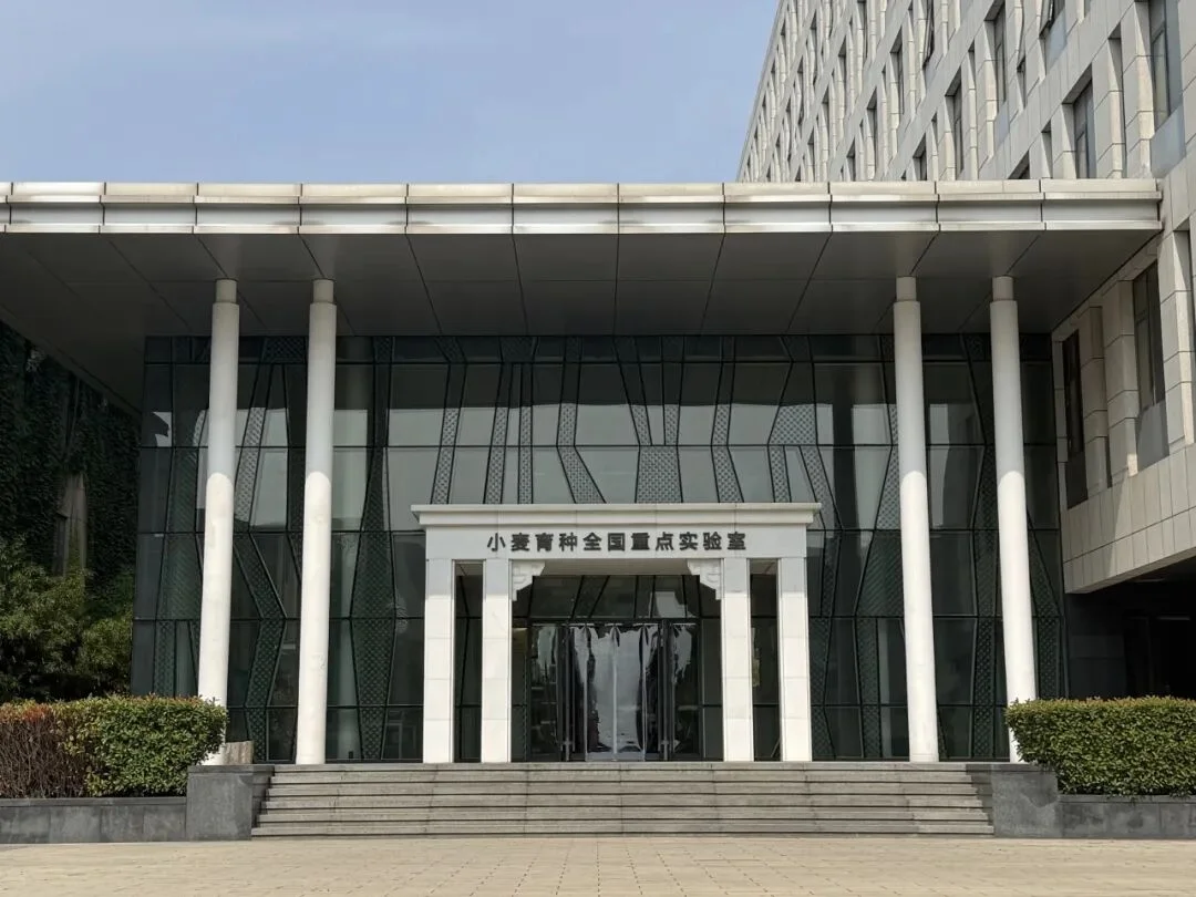 通知图片12