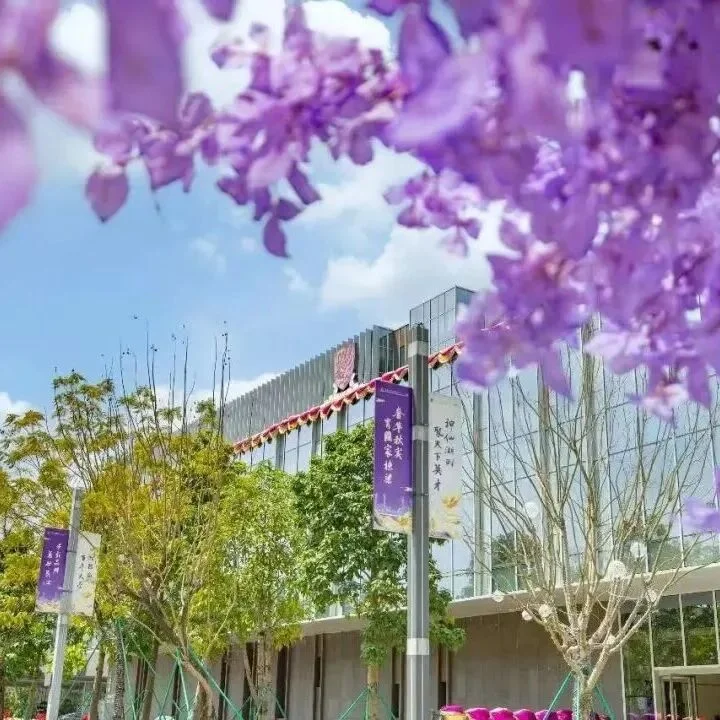通知图片11