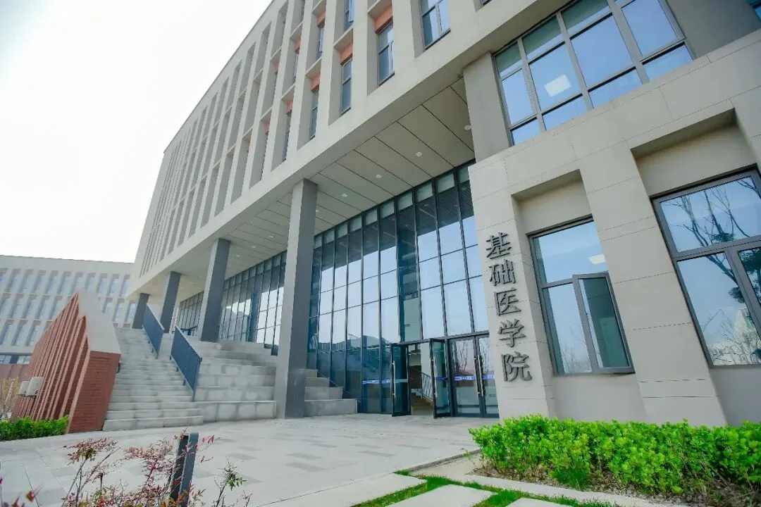 WPS图片.jpeg