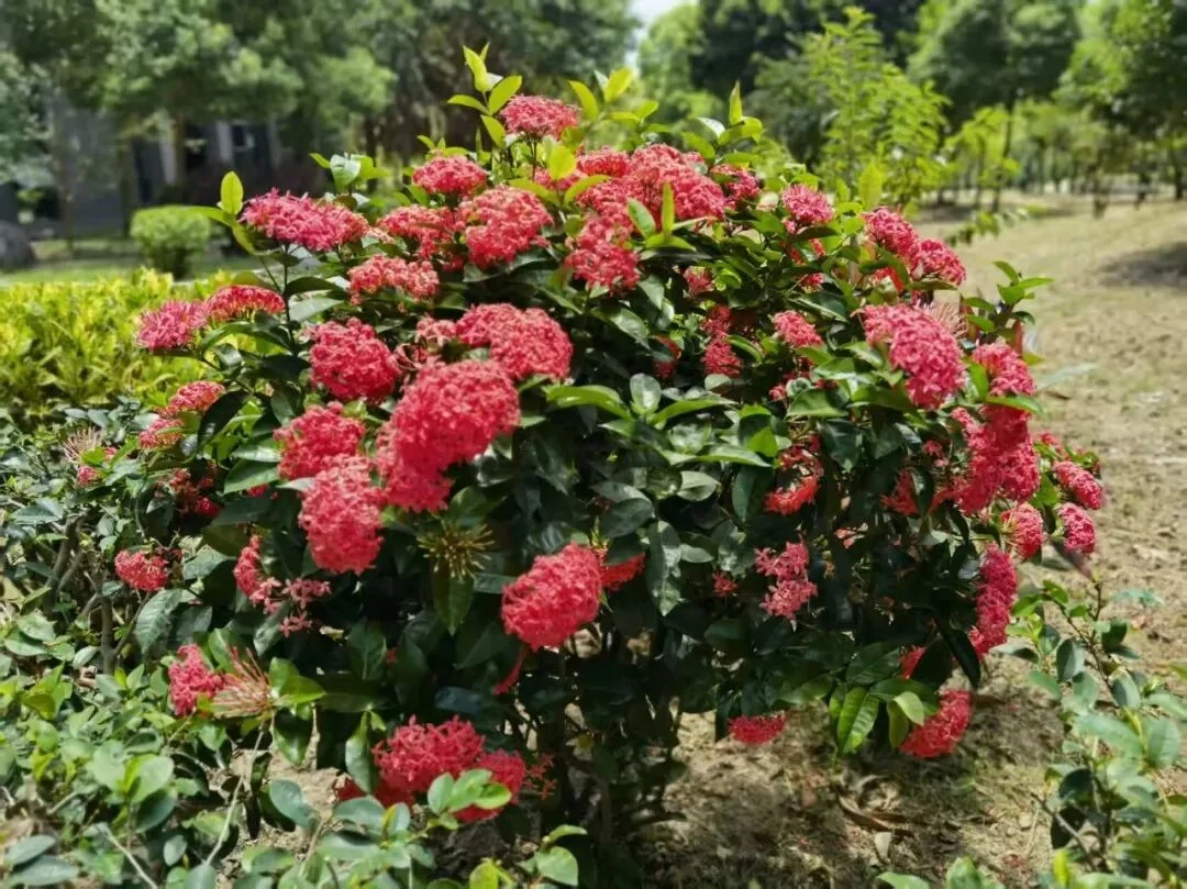 通知图片13