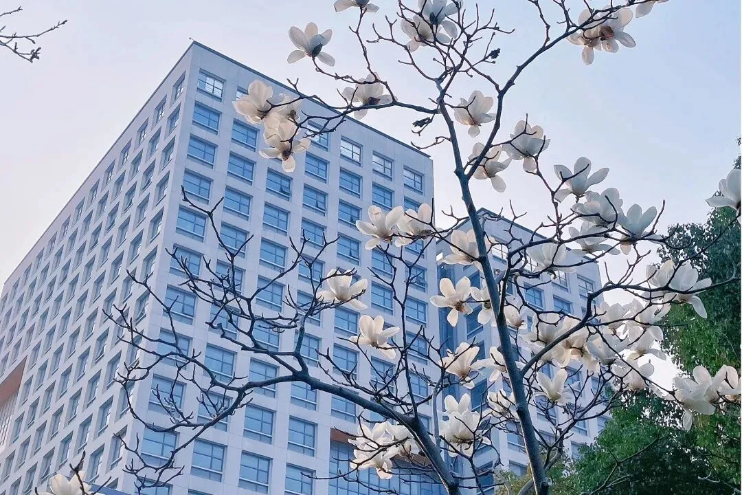 通知图片16