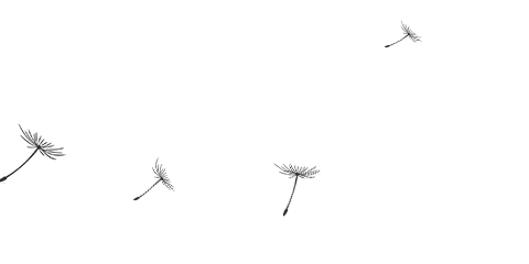 通知图片24