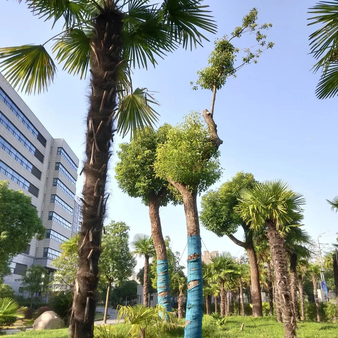 通知图片20