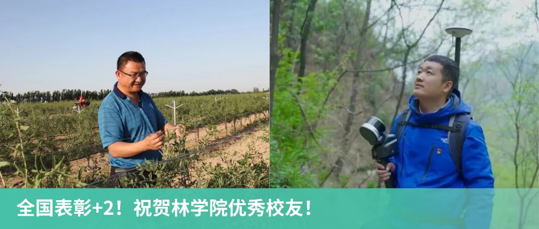 通知图片6