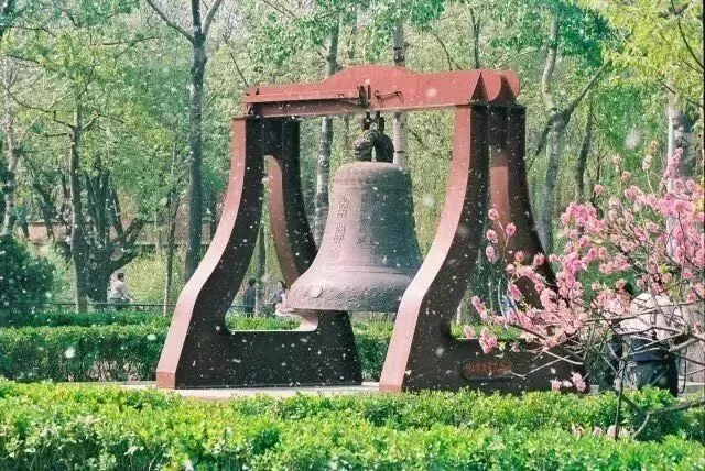 通知图片11
