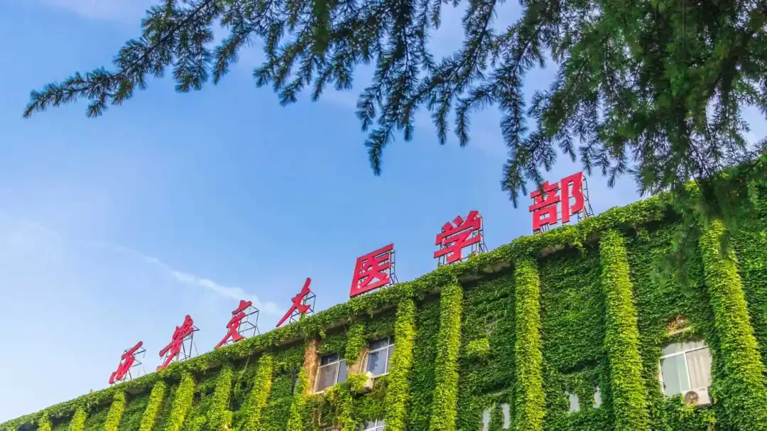 通知图片13