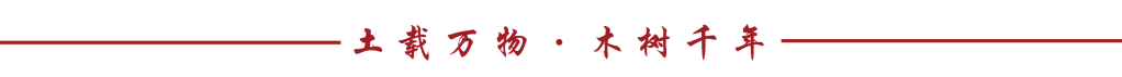 通知图片2