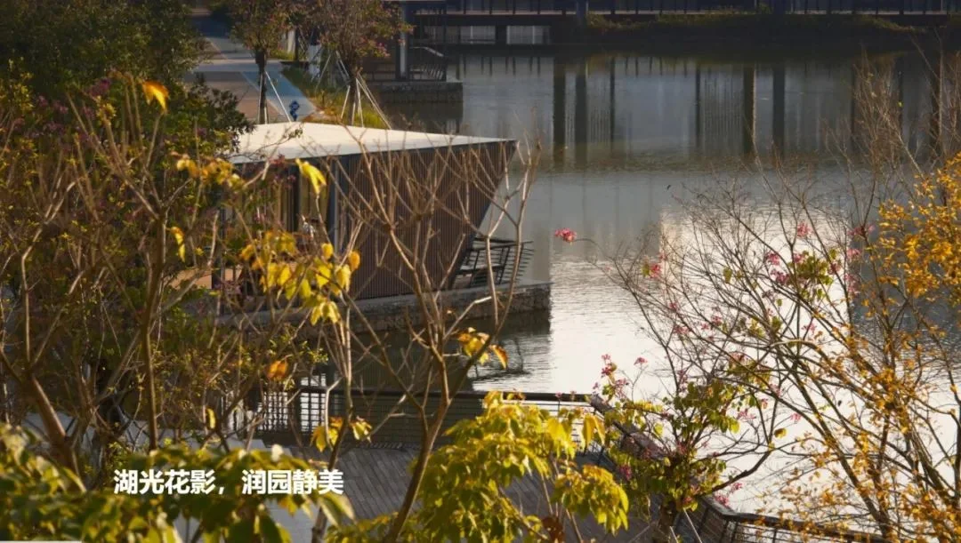 通知图片7