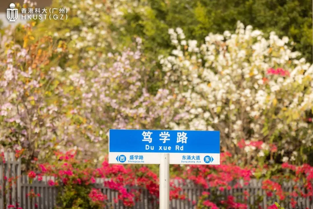 通知图片48