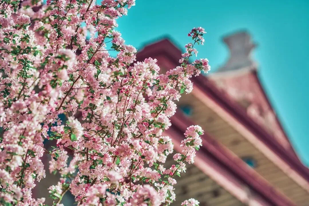 通知图片1