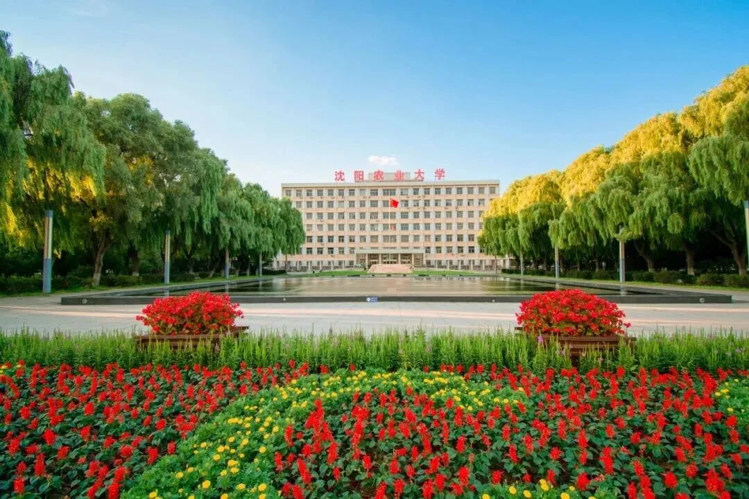 通知图片2