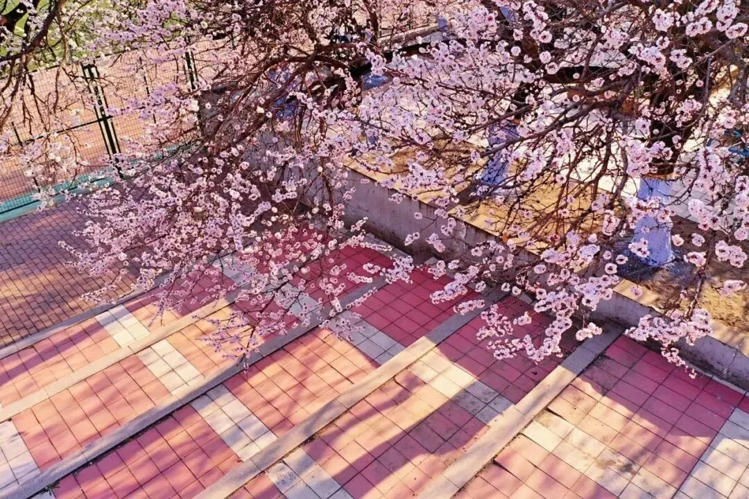通知图片17