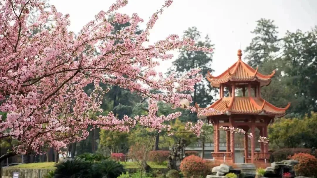 通知图片6