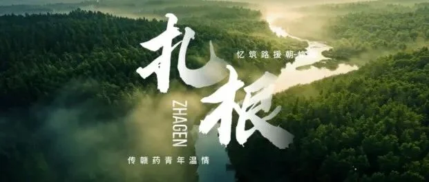 通知图片33