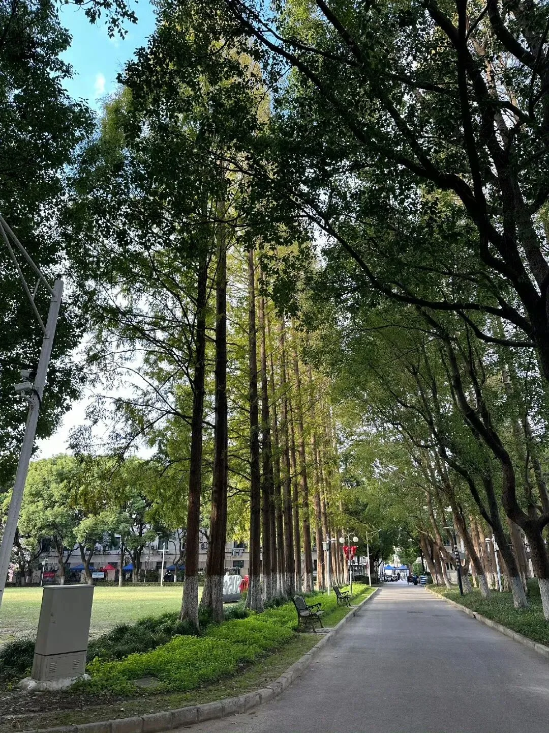 通知图片8