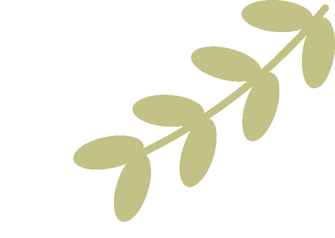 通知图片21