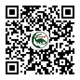 通知图片13