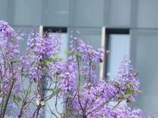通知图片12