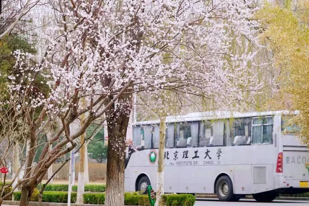 通知图片21