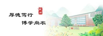 bjnxy0828.jpg