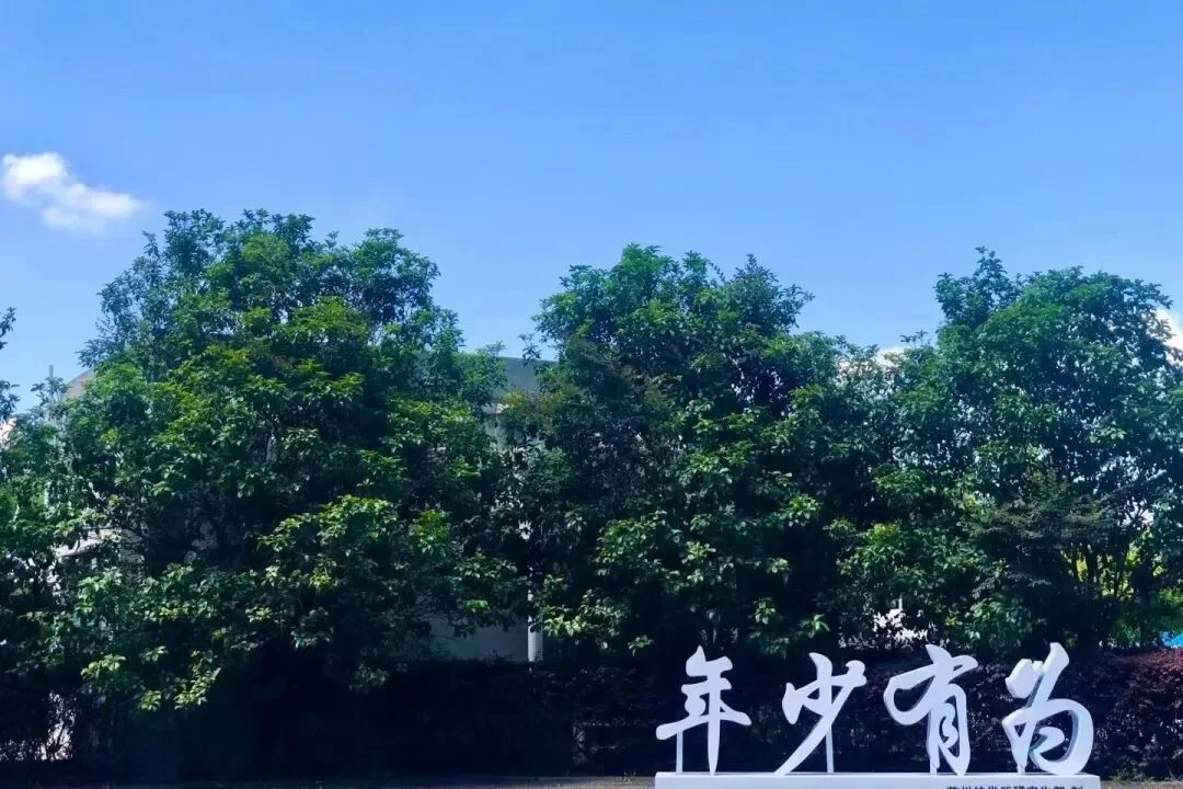 通知图片22