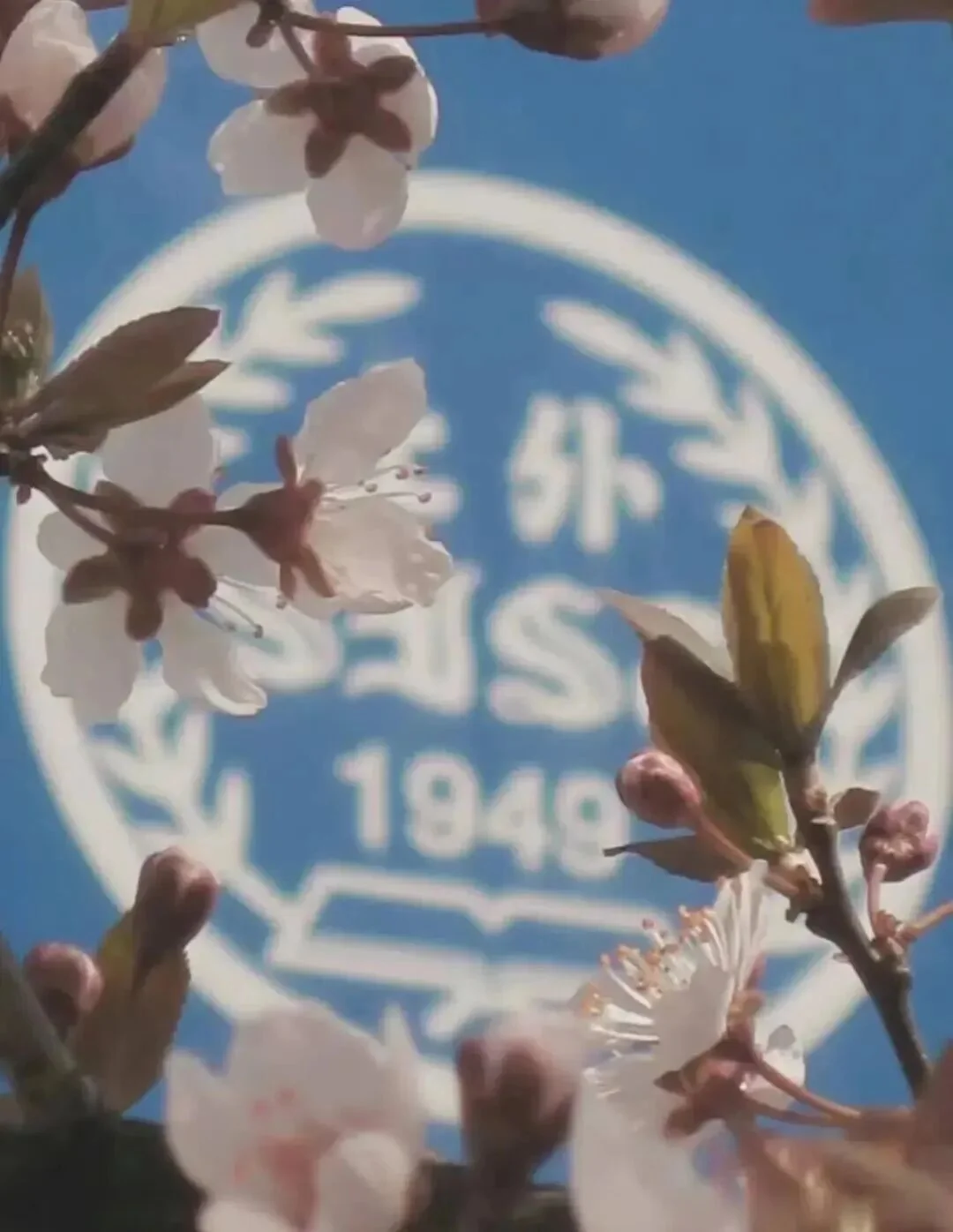 通知图片13