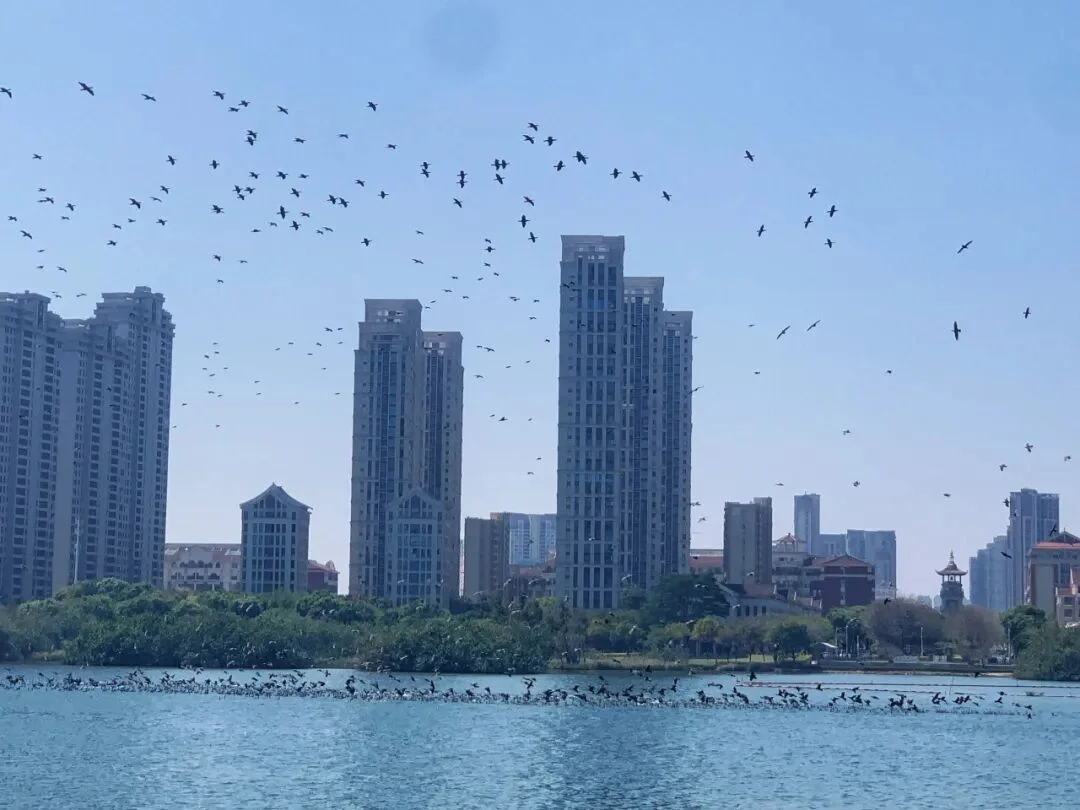 通知图片12