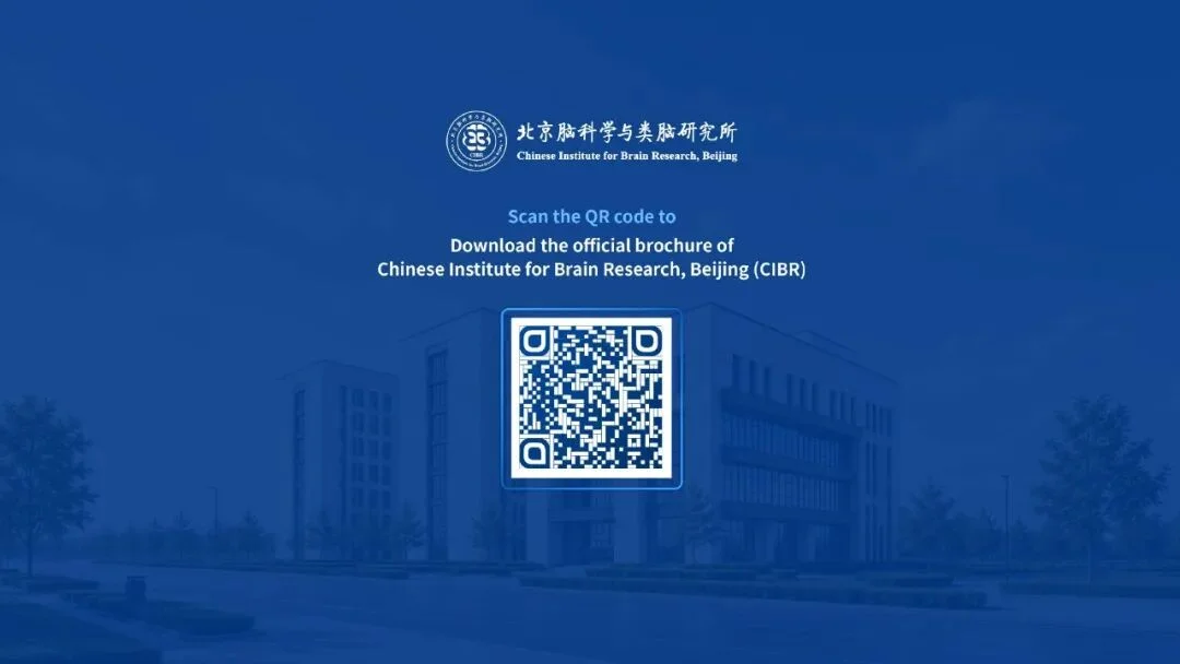 通知图片25